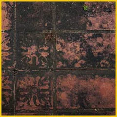 Boynton Beach Emergency Restoration Boynton Beach, FL 561-318-3425 - mold-sidebar