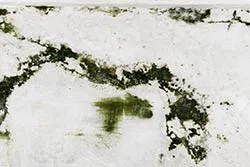 Boynton Beach Emergency Restoration Boynton Beach, FL 561-318-3425 - service-image-2